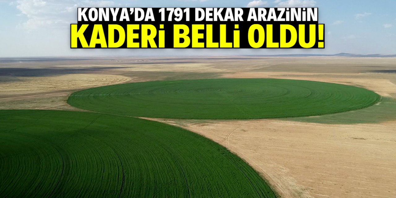 Konya'da 1791 dekar arazinin kaderi belli oldu! İhale bu tarihte