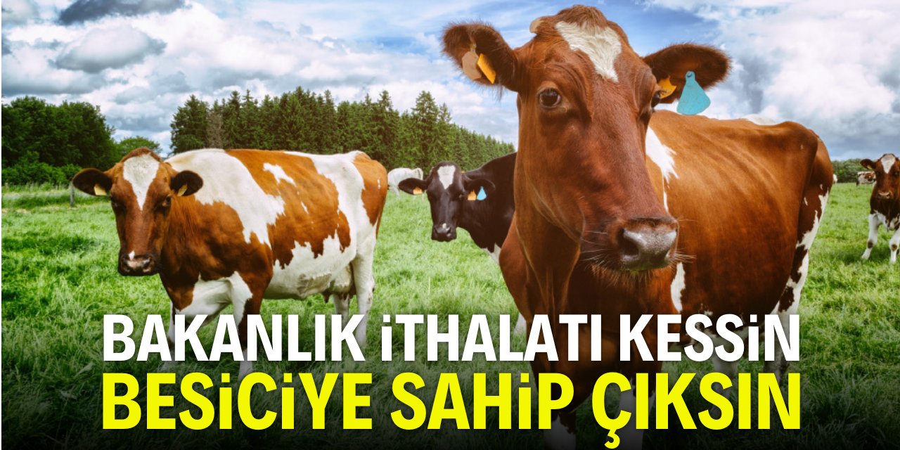 'Besiciler zorda, aile işletmeleri batıyor'