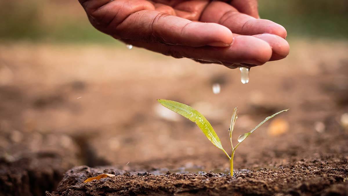 Kuraklık tüm Türkiye'yi tehdit ediyor, endişe artıyor