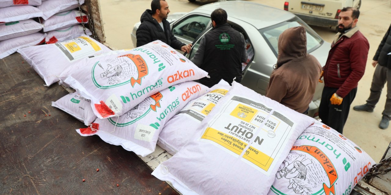 Büyükşehir'den nohut tohumu desteği