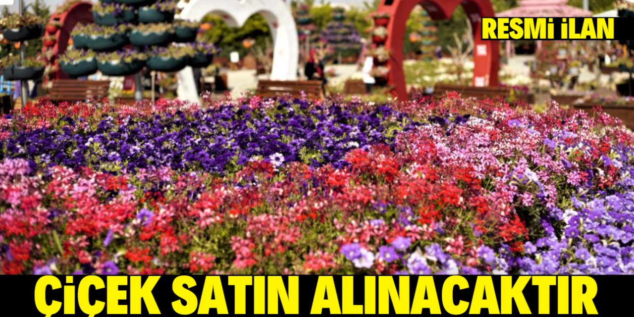 ÇİÇEK SATIN ALINACAKTIR