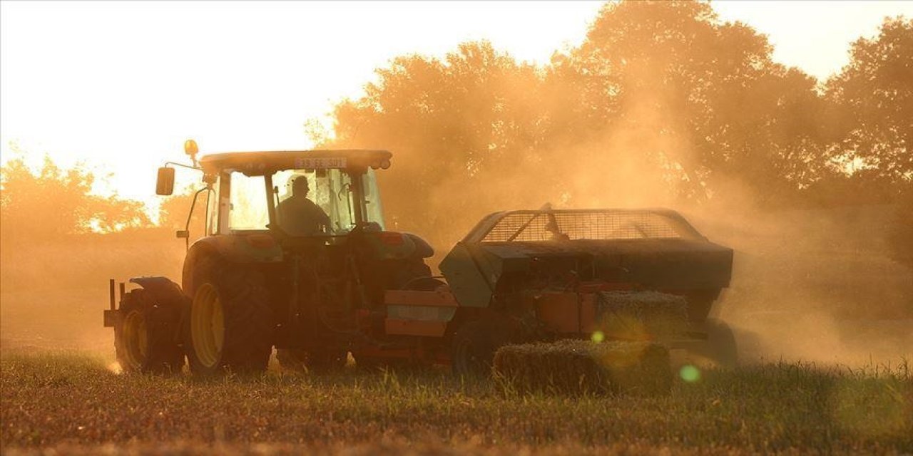 Kırsal Dezavantajlı Alanlar Kalkınma Projesi'ne 4 il dahil edildi! Tam liste