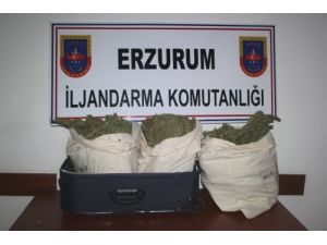 Jandarma, 15 Kilogram Esrar Ele Geçirdi