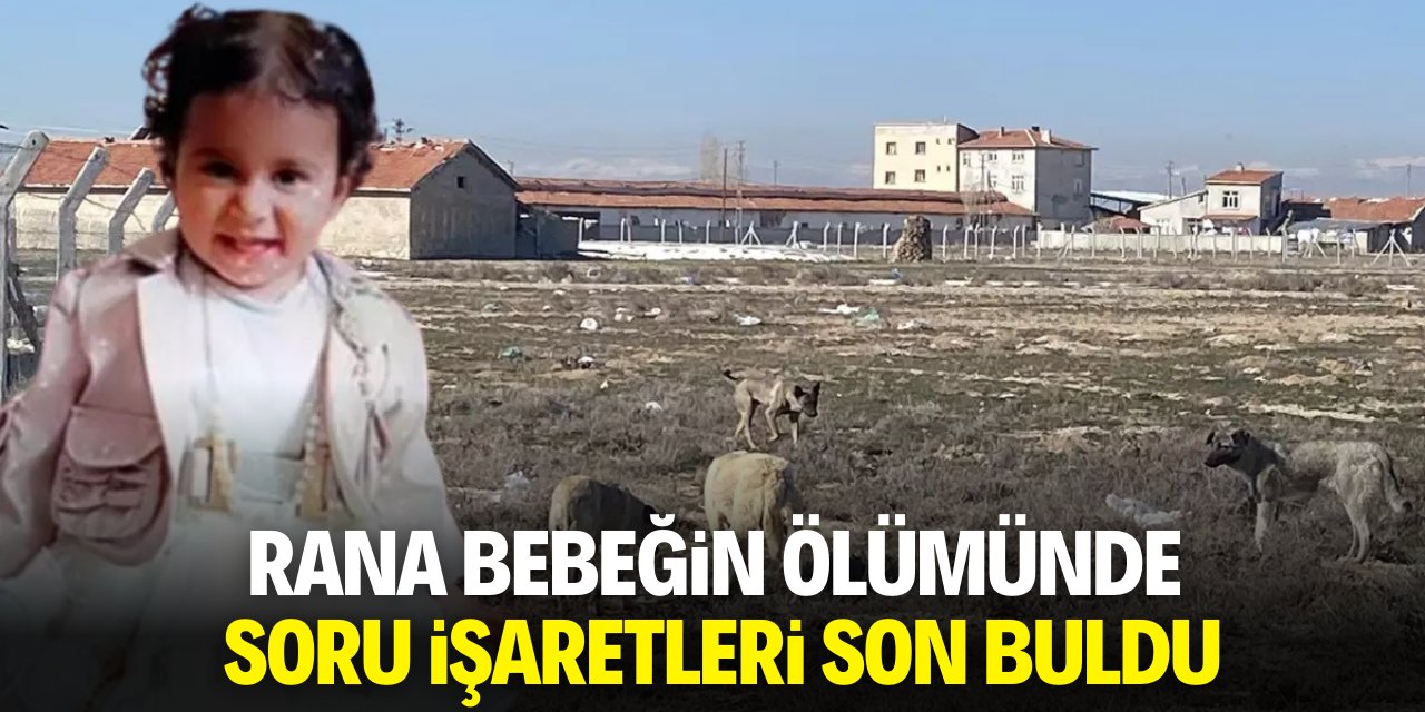 Köpeklerin saldırısında ölen Rana bebeğin kesin otopsi raporu tamamlandı