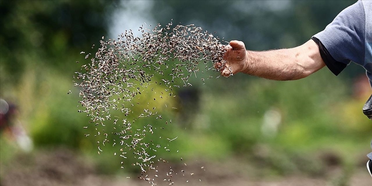 Türkiye tohum sektöründe atağa geçti