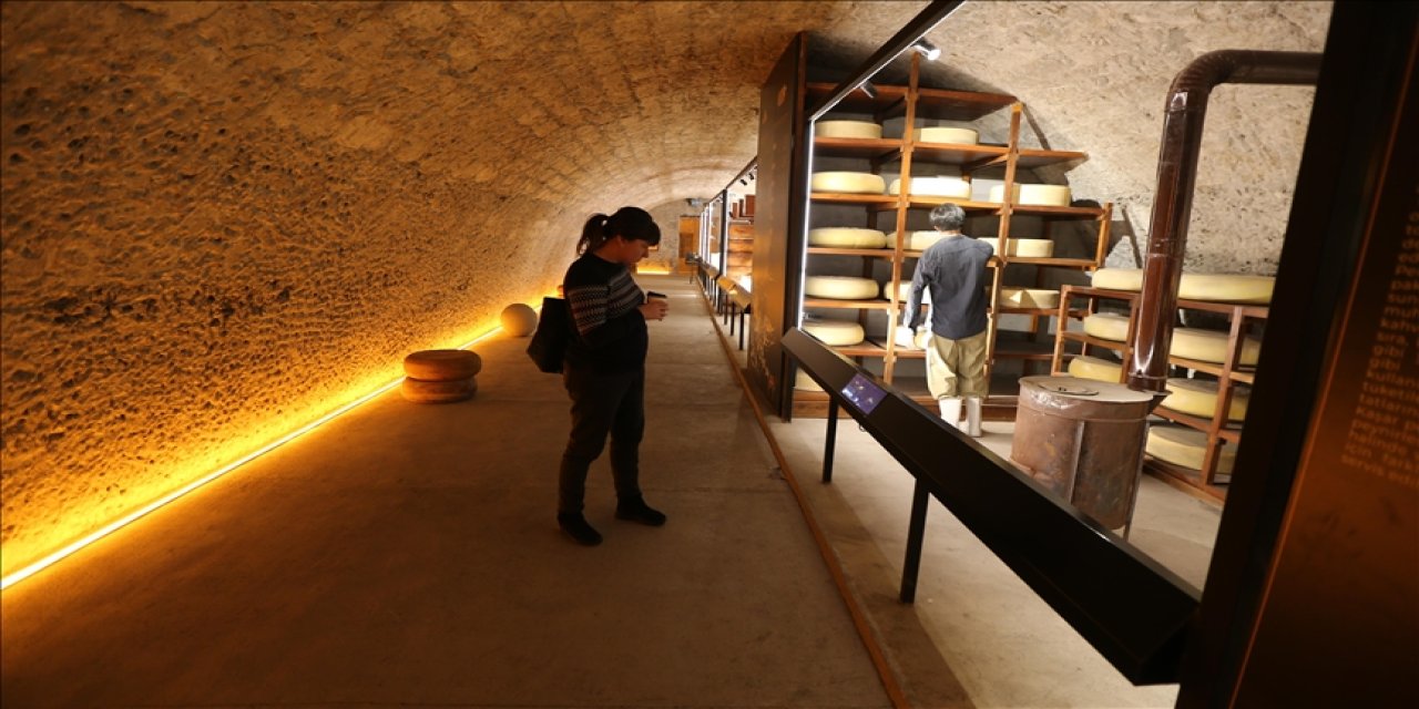 Bu şehirdeki 'peynir müzesi' büyük ilgi görüyor
