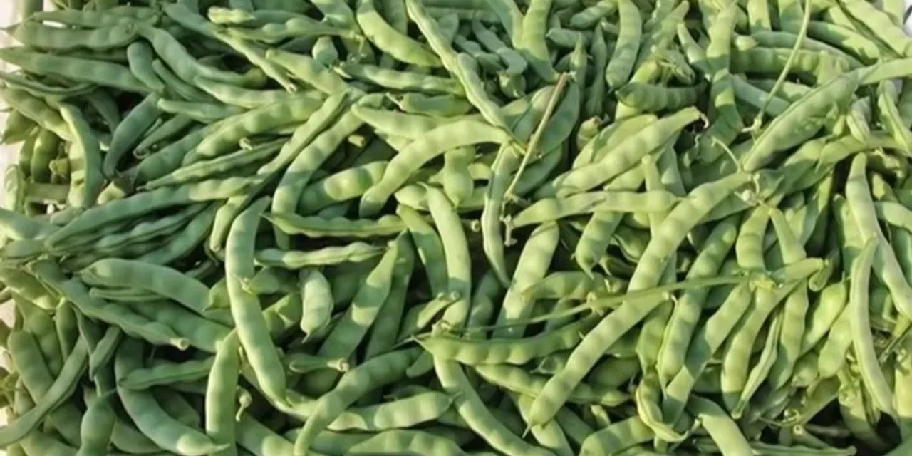 Mart ayı verilerine göre işte zam şampiyonu