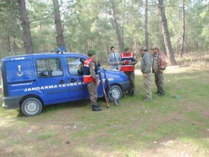 Jandarma doğal yaşamı koruyor