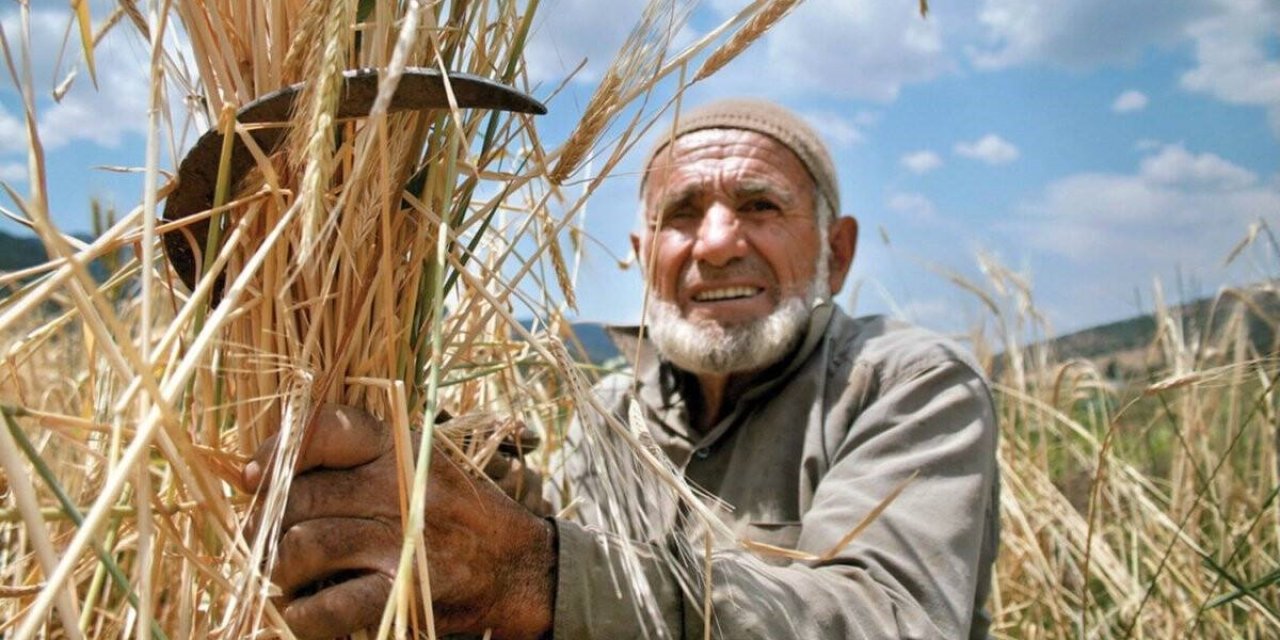 Gençler tarımdan kaçıyor! Yaş ortalaması çok yükseldi