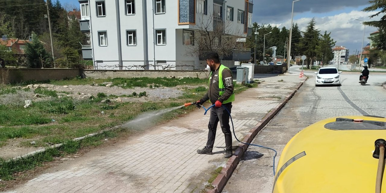 Akşehir'de ot temizliği ve ilaçlama çalışmaları başladı