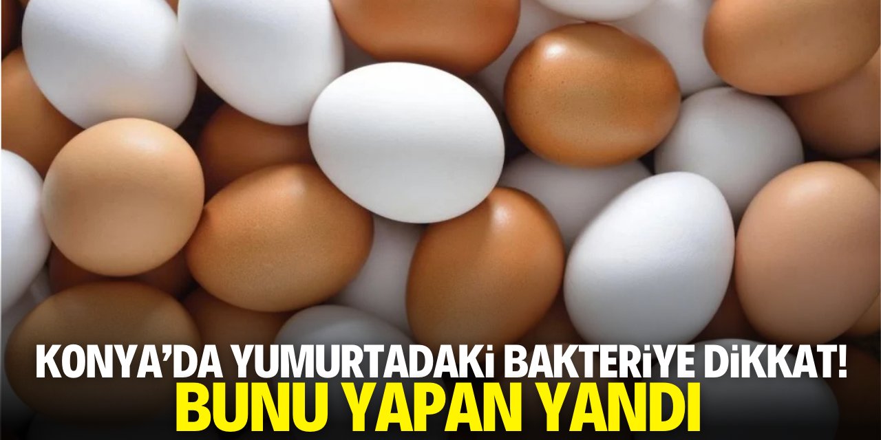 Konya'da yumurtadaki bakteriye dikkat! Bunu yapan yandı