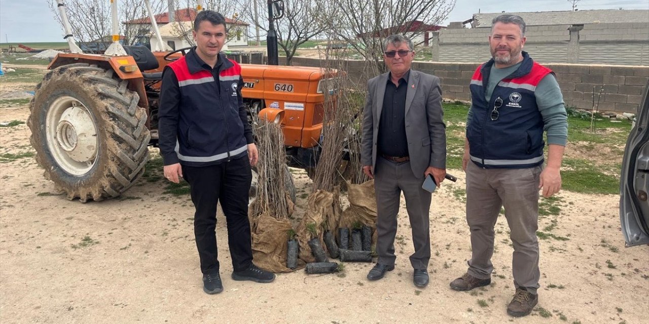Köy ve yaylalarda fidanlar dağıtıldı