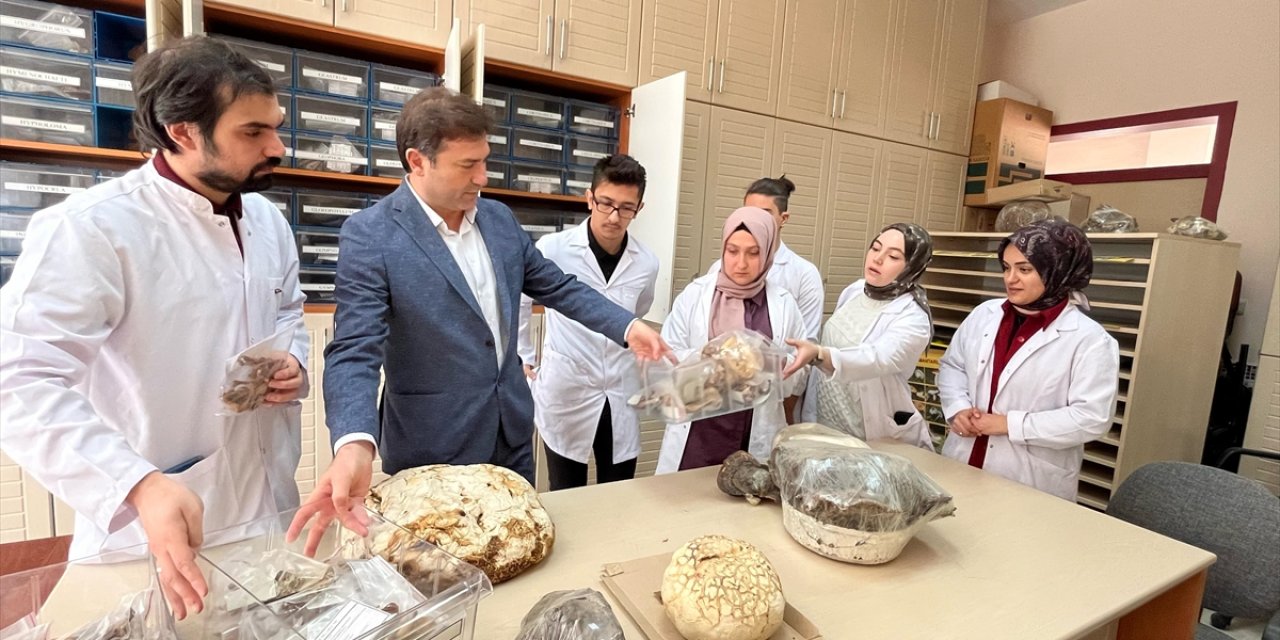 Konya'da 30 bin örnek mantarla uygulamalı eğitim