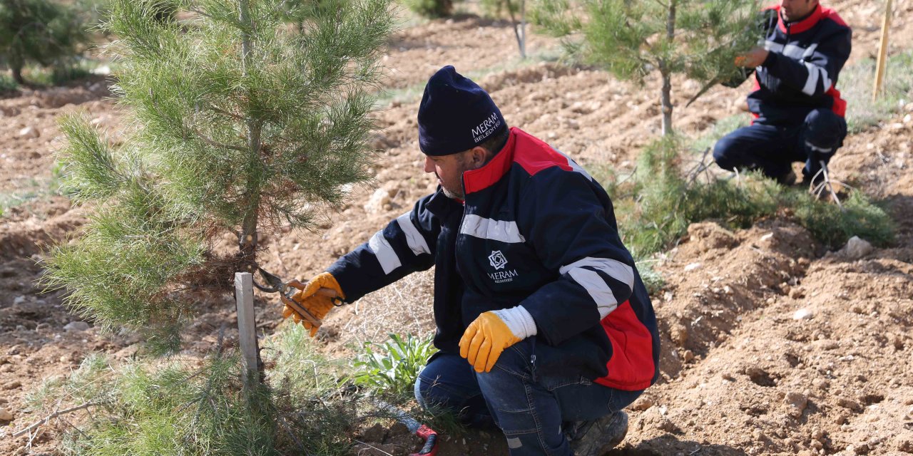 Meram'da park ve bahçelere bahar dokunuşu