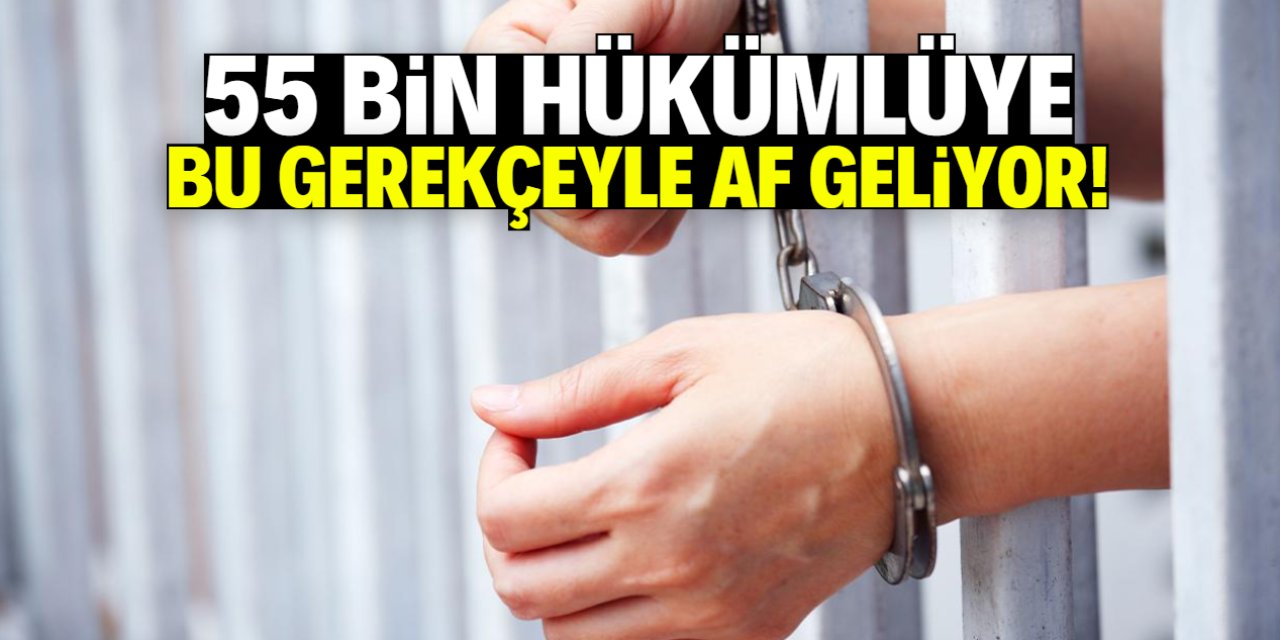 55 bin hükümlüye bu gerekçeyle af geliyor!