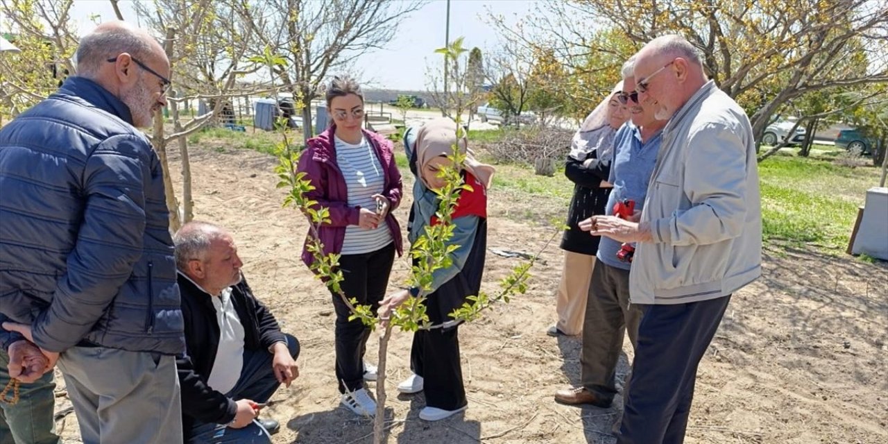 Bilinçi tarım için ağaç budama kursu düzenlendi