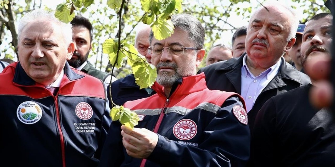Zirai dondan dolayı 16 meyve türüne destek verilecek