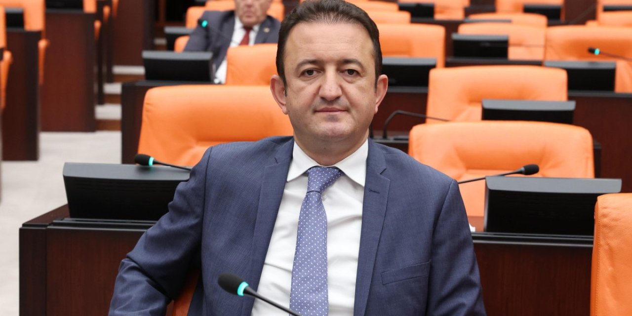 'Hak ve özgürlüklerin korunması TBMM'nin görevi'