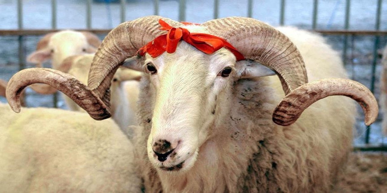 Vekaletle kurban kesim bedeli açıklandı