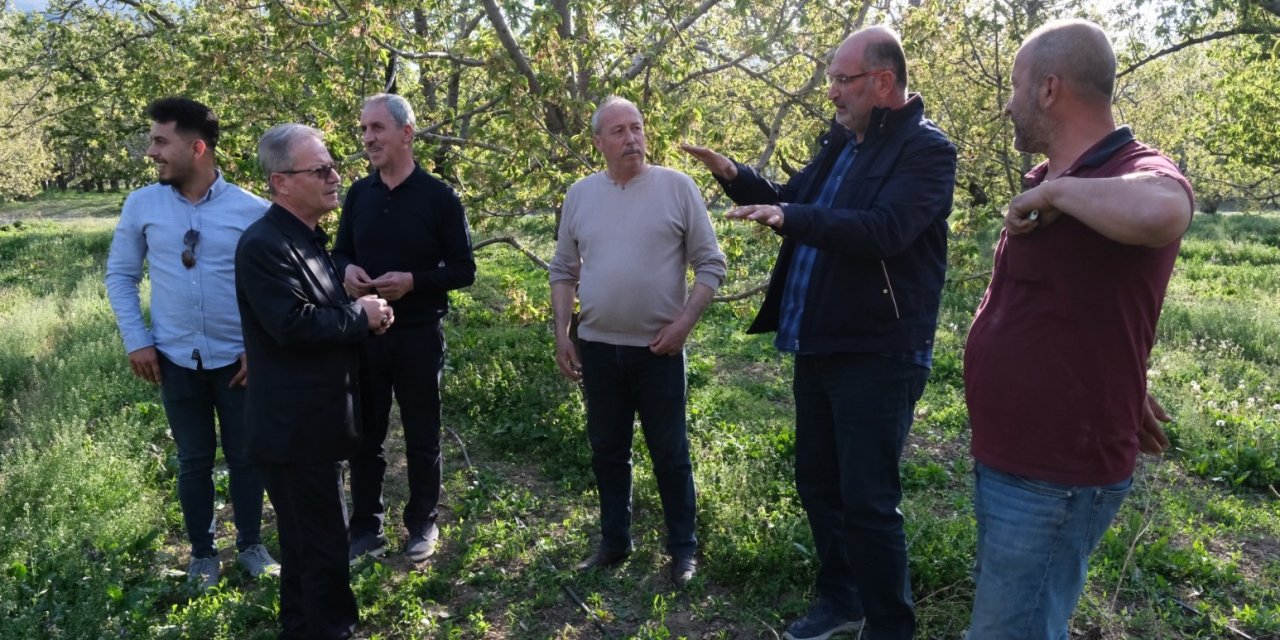 Konya'nın ilçesinde zirai don sonrası fide desteği