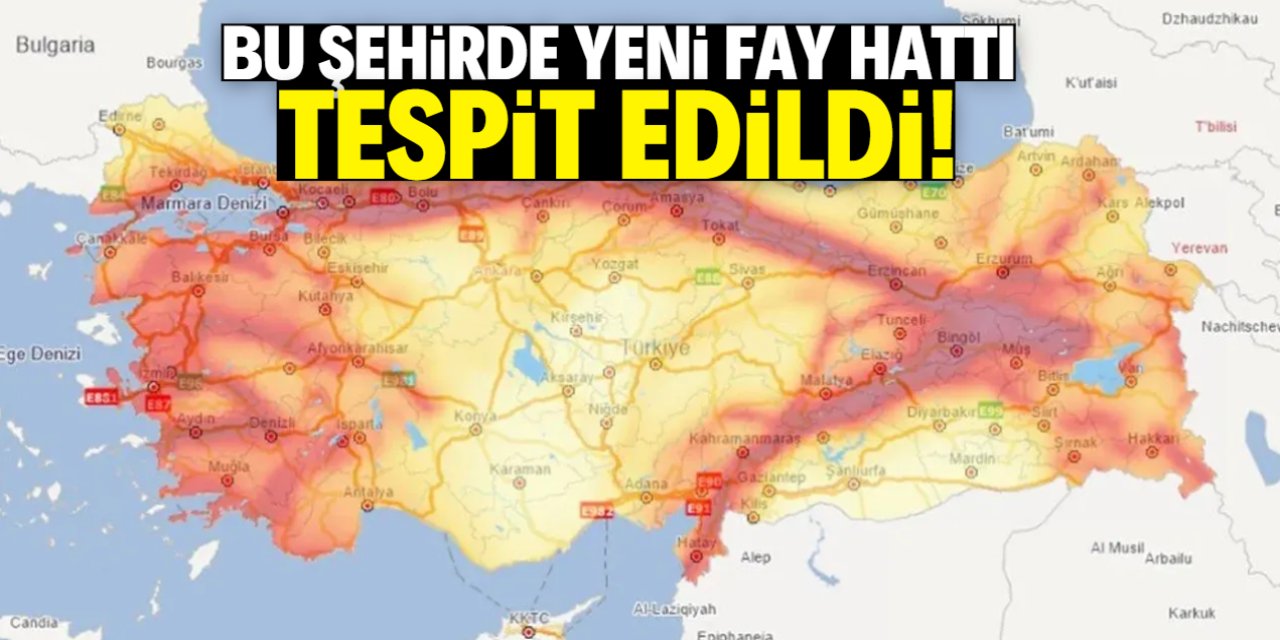 Bu şehirde yeni fay hattı ortaya çıktı! Çok tehlikeli