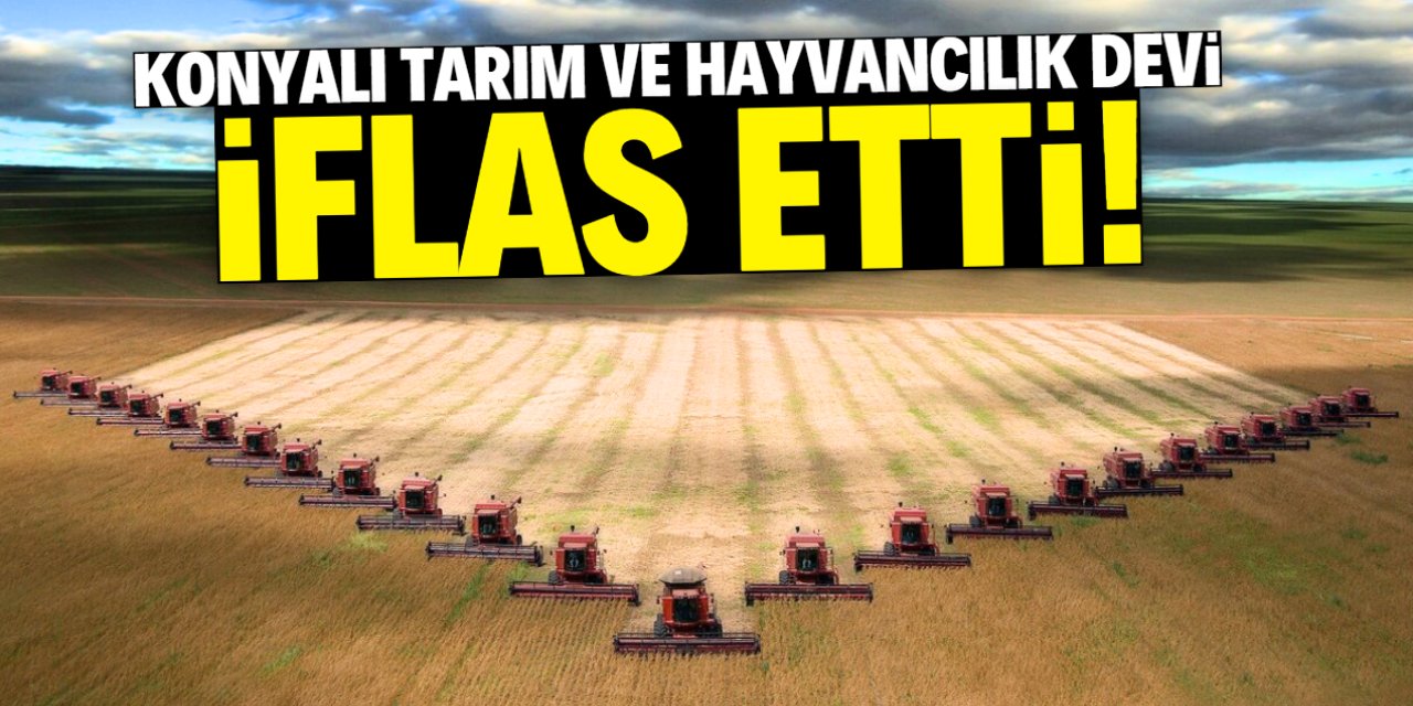 Konyalı tarım ve hayvancılık devi iflas etti! İsmini bilmeyen yok