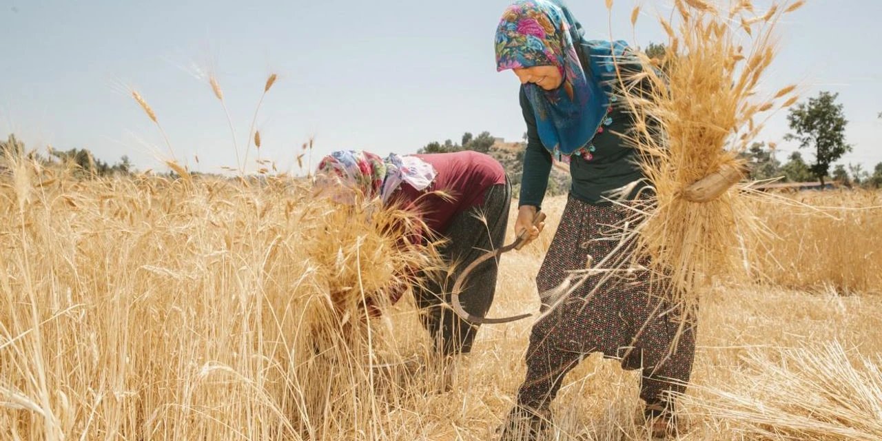 Seydişehir'den üreticilere yüzde 75 hibe desteği