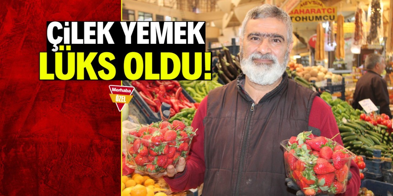 Çilek yemek lüks oldu! Kilosu 150 TL