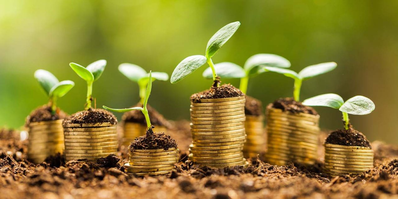 Üniversitelere yeni bölüm açılacak: Yeşil ekonomi