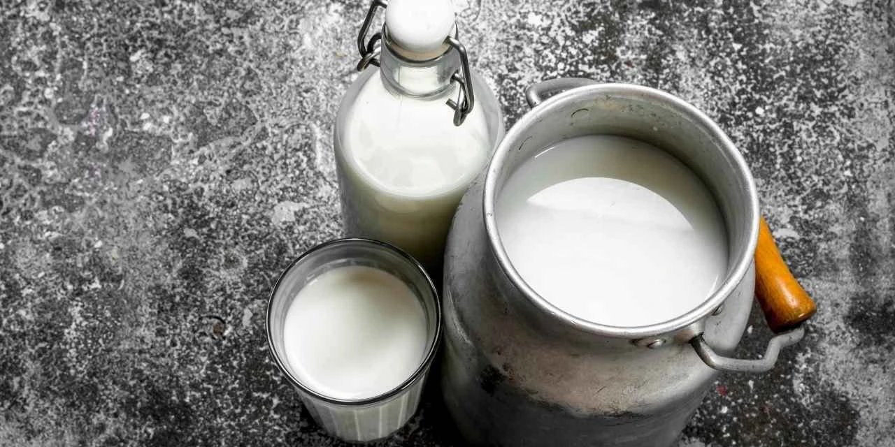 Türkiye'de çiğ süt üretimi arttı