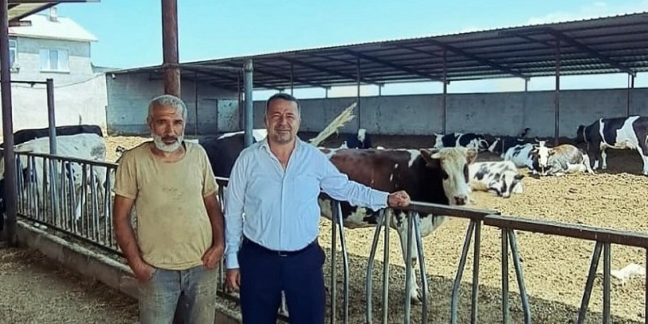 Konya'da hayvan gübreleri geri dönüşümde kullanılacak