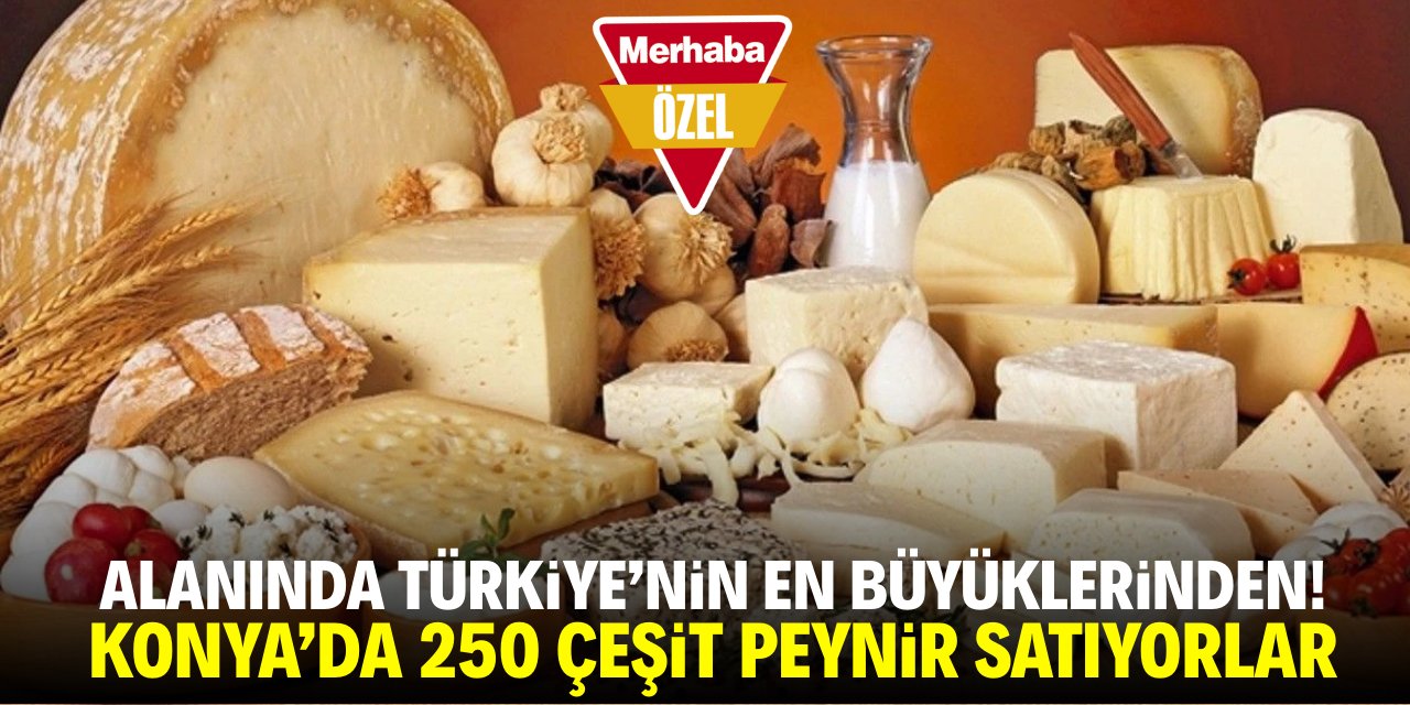 Alanında Türkiye'nin en büyüklerinden! Konya'da 250 çeşit peynir satıyorlar