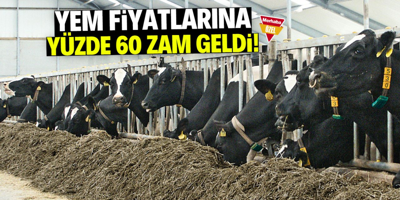 Yem fiyatlarına yüzde 60 zam geldi! İşte gerekçesi