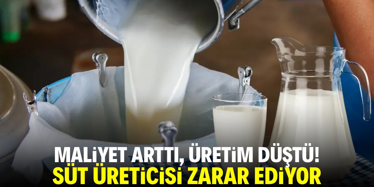 Maliyetler arttı, süt üreticisi zarar ediyor