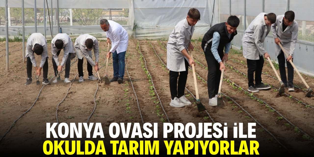 Konya Ovası Projesi ile okulda tarım yapıyorlar