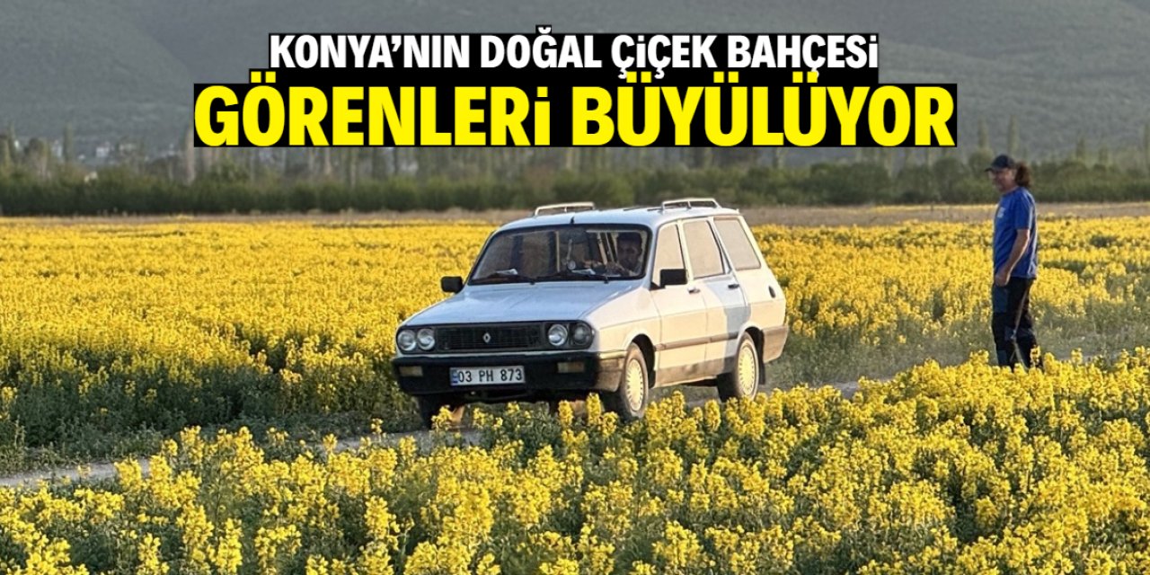 Konya'nın doğal çiçek bahçesi görenleri büyülüyor! İşte o konum