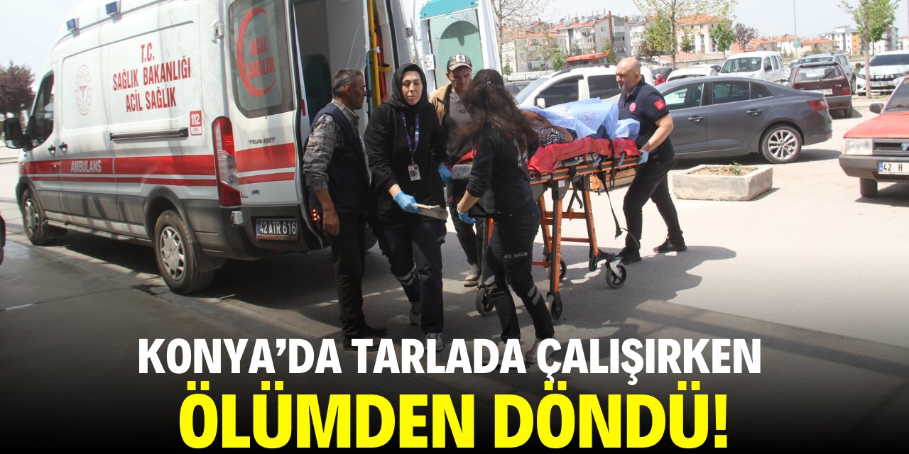 Konya'da tarlada çalışırken ölümden döndü