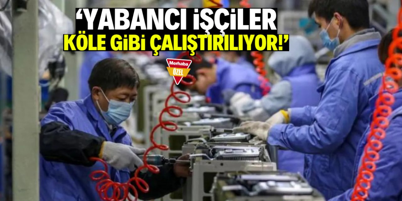 Prof. Dr. Mehmet Alagöz: Türkiye'de yabancı işçiler köle gibi çalıştırılıyor!