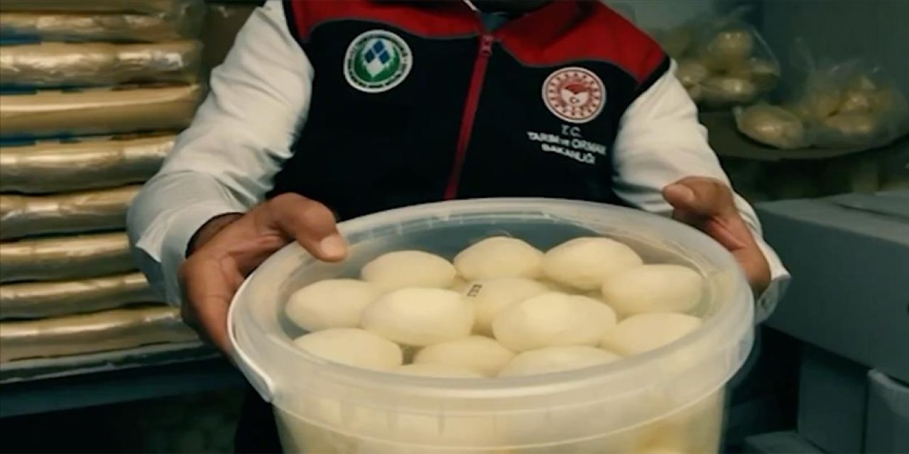 Ankara'da süt ürünleri üretimi ve satışı yapan 39 işletmeye denetim