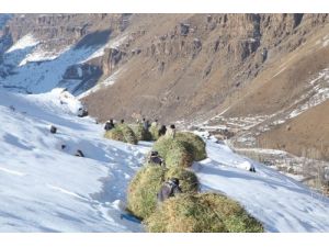 Meradan, Köye Zorlu Yolculuk