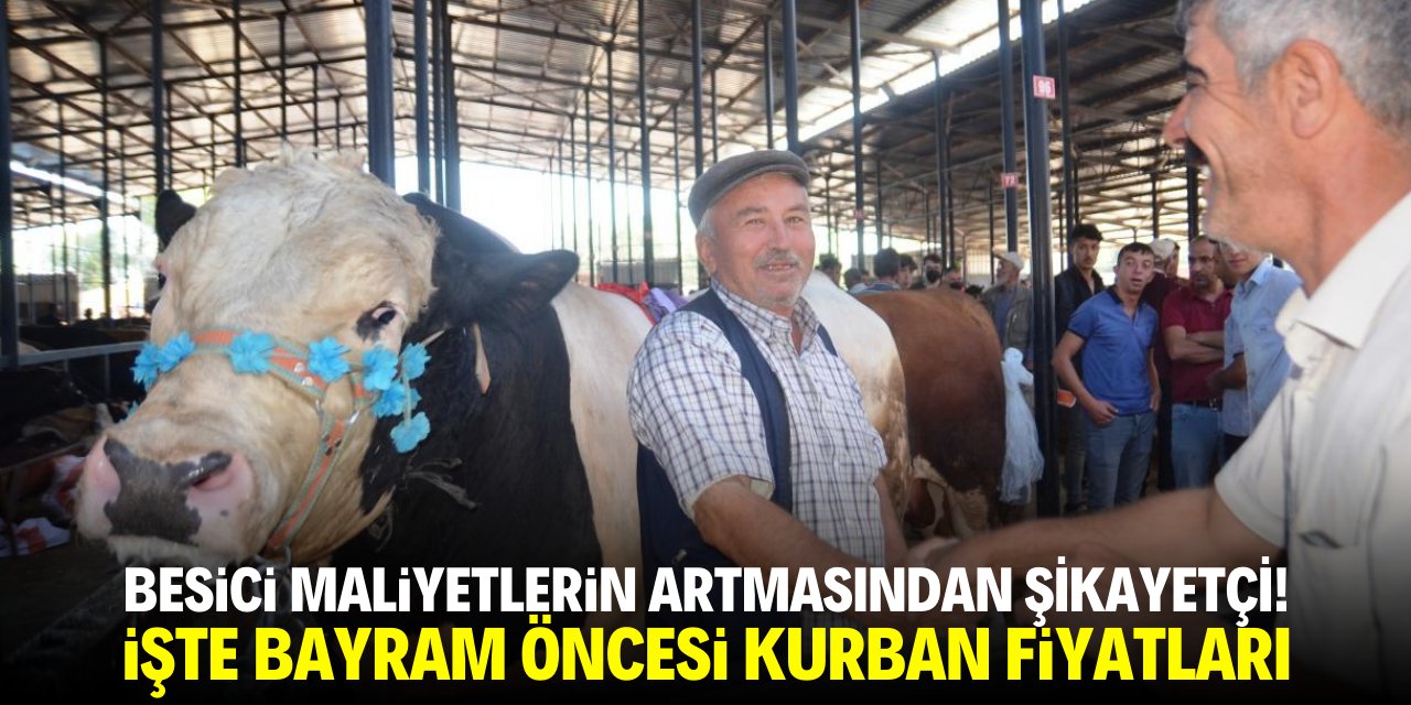 Besici maliyetlerin artmasından şikayetçi! İşte bayram öncesi kurban fiyatları