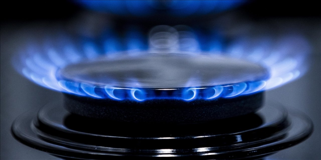 Doğalgaz dağıtımına 2024'te 15 milyar lira yatırım