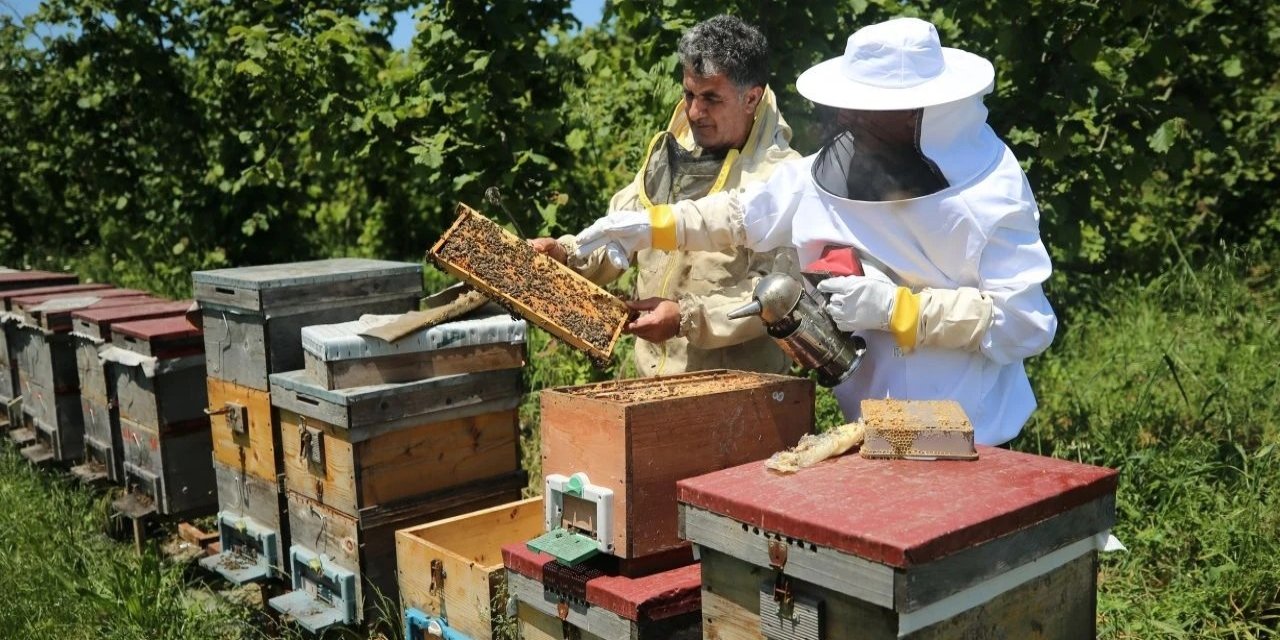 Arıcılara 984 milyon lira destek