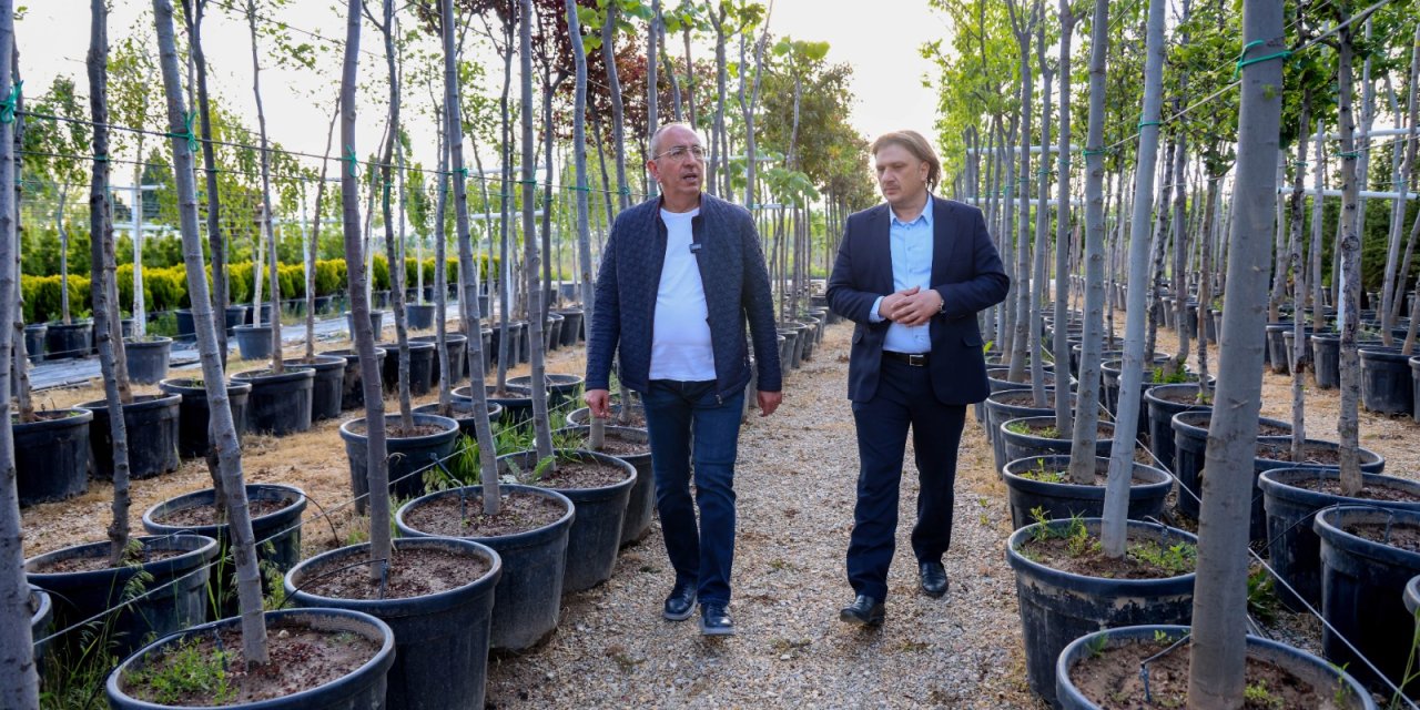 Kavuş, Meram'ın park ve bahçelerini inceledi