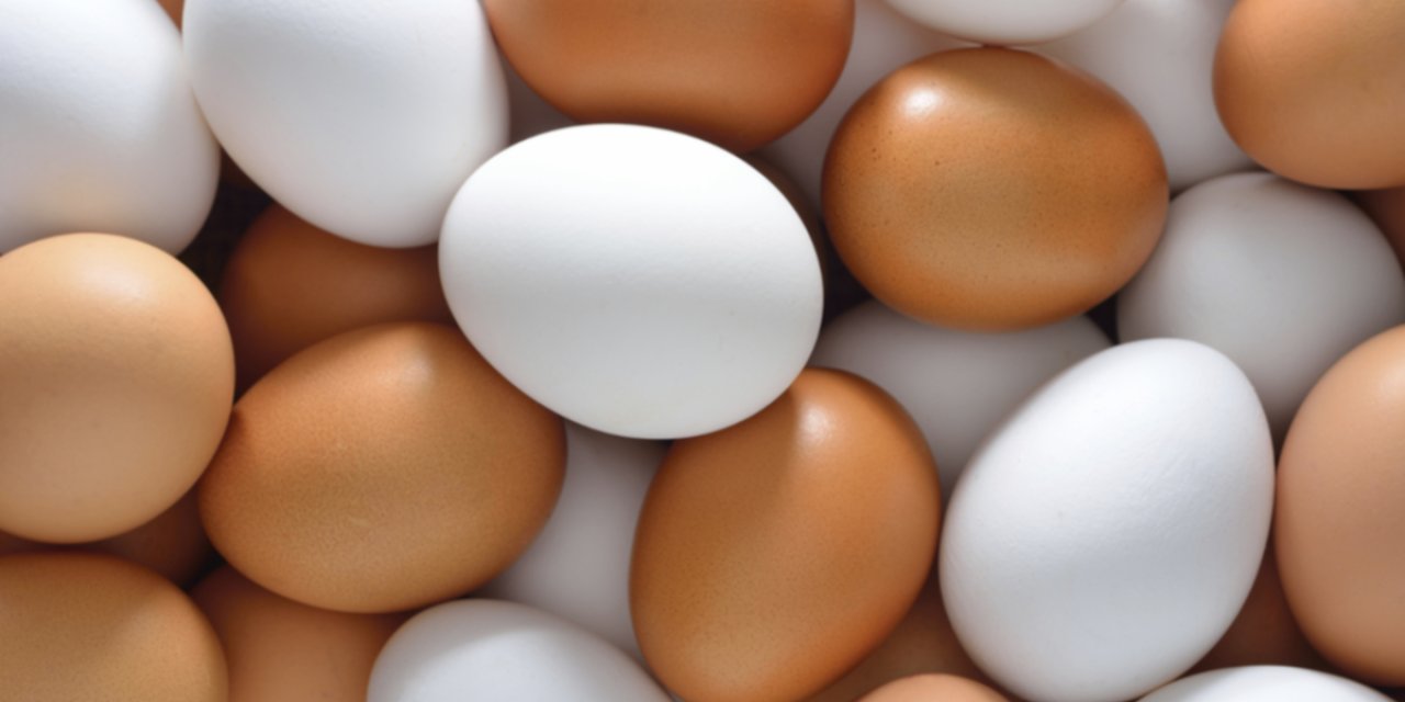 Yumurtacılardan marketlere fiyat tepkisi