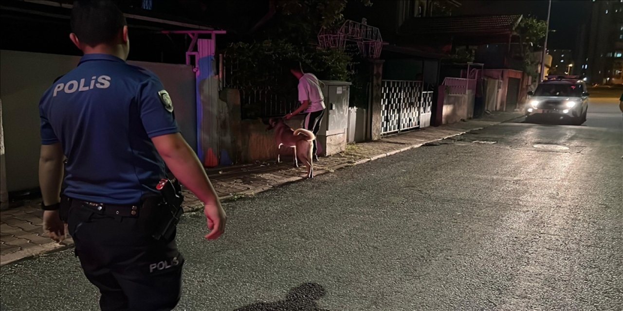 Kayseri'de sahipli köpeğin saldırdığı 6 yaşındaki çocuk yaralandı