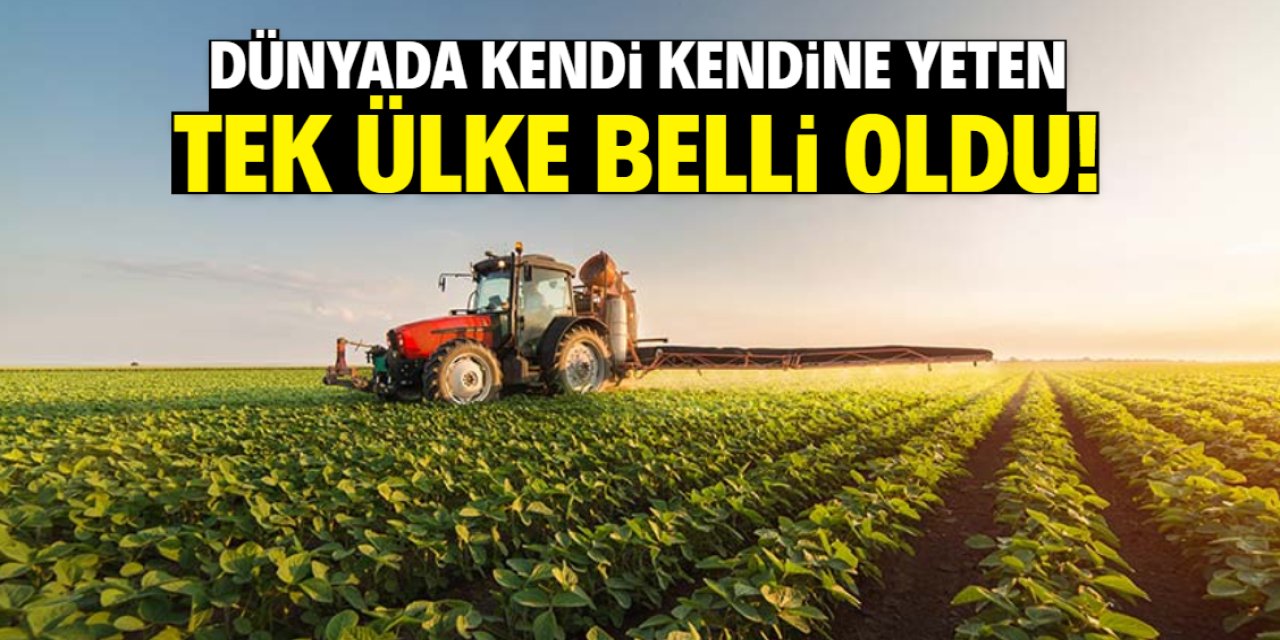 Dünyada kendine yeten tek ülke belli oldu! Türkiye detayı