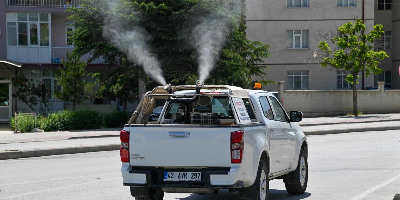 Selçuklu'da ilaçlama çalışmaları başladı