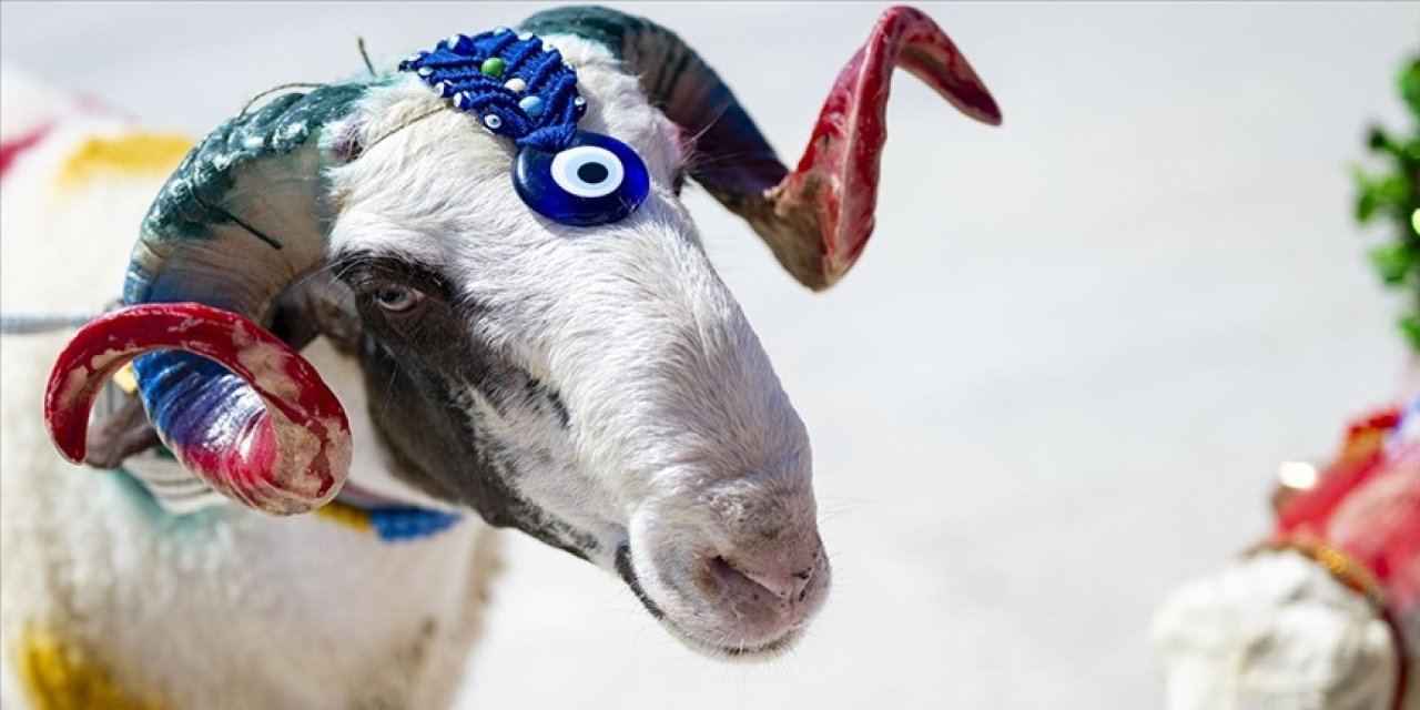 Seydişehir Belediyesi kurban bağışı bekliyor