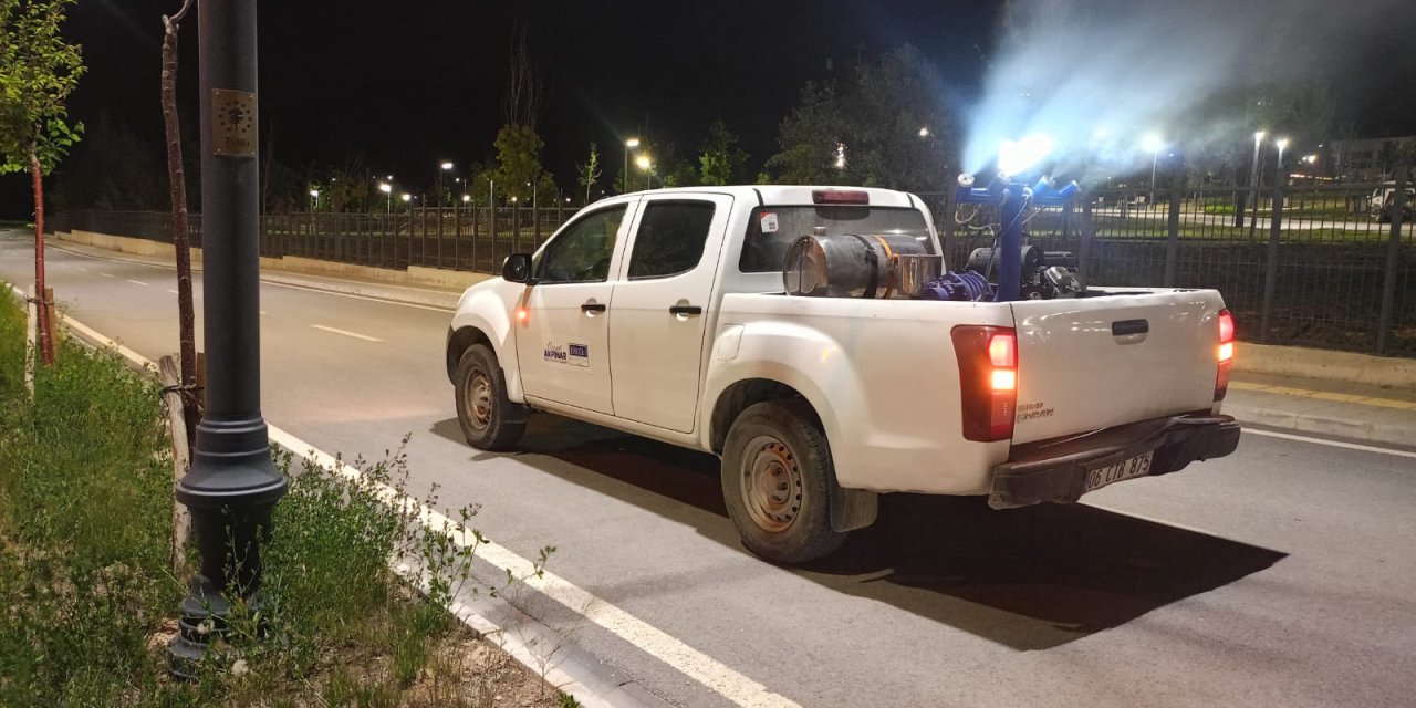 Ereğli'de haşerelere karşı ilaçlama yapılıyor